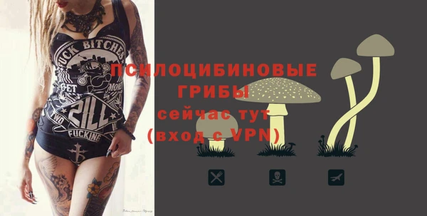 бутират Новодвинск