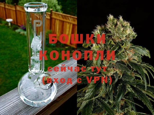 шишки Нефтегорск