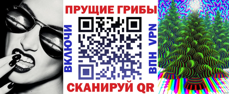 Псилоцибиновые грибы мухоморы  даркнет официальный сайт  Нижний Ломов 